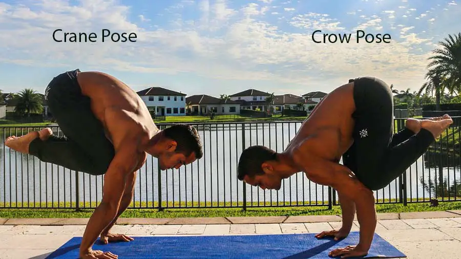 Bakasana | Crow Pose | Crane Pose | Jason Crandell Yoga Method